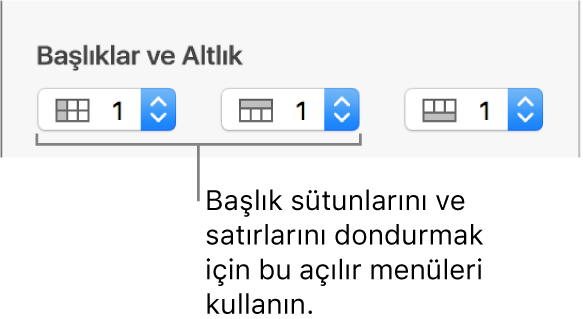 Bir tabloya başlık ve altlık sütunları ve satırları eklemek ve başlık satırlarını ve sütunlarını dondurmak için kullanılan açılır menüler.