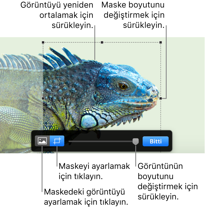 Bir fotoğrafın üzerindeki maske denetimleri.