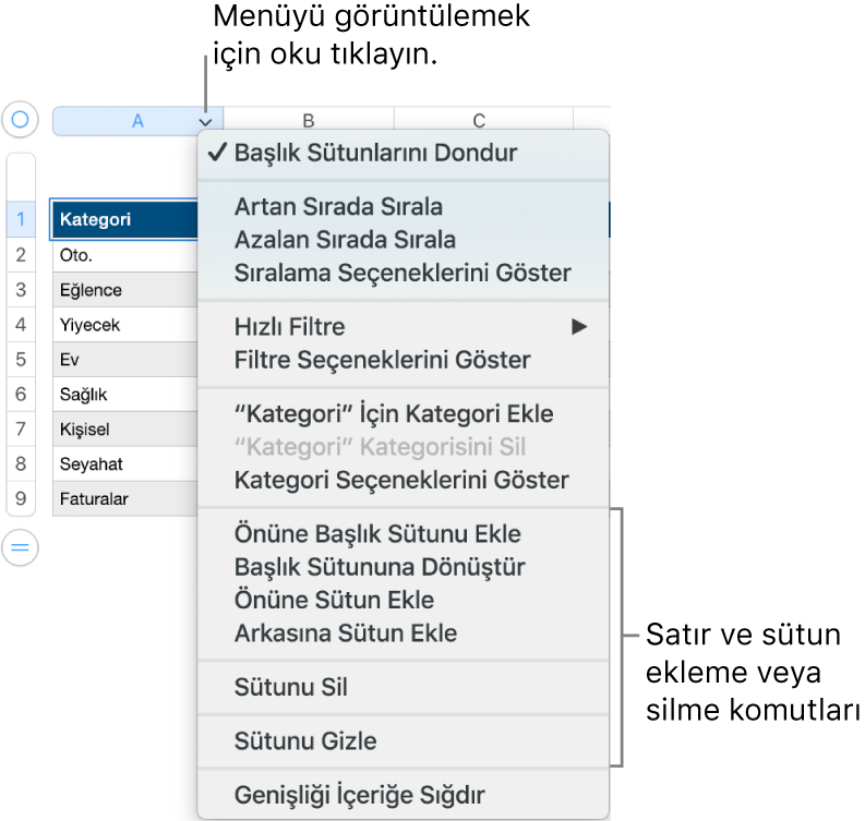 Satırları ve sütunları ekleme veya silme komutlarını içeren tablo sütunu menüsü.