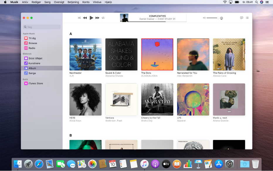 Apple Music-vinduet med et bibliotek med flere album.