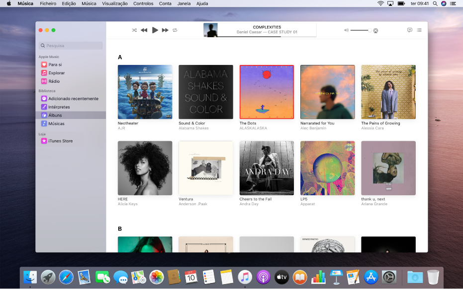A janela Apple Music com uma biblioteca de vários álbuns.