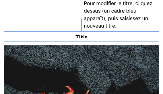 Le titre fictif « Titre » s’affiche au-dessus d’une photo. Un contour bleu autour du champ du titre montre qu’il est sélectionné.