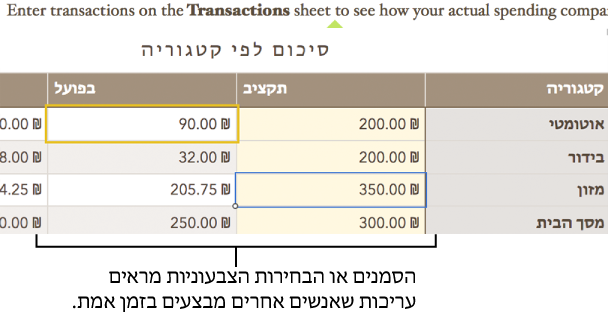 סמנים ובחירות של תאי טבלה מציגים את המיקומים בהם אנשים אחרים עורכים את הגיליון המשותף.