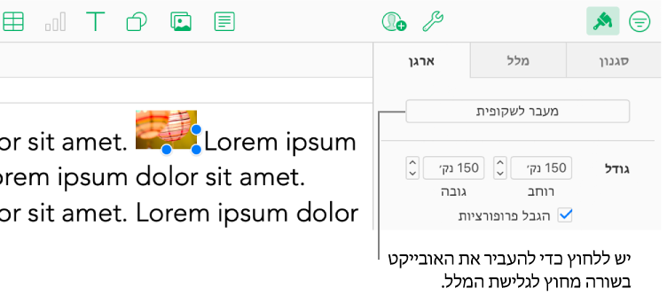 תמונה בשורה נבחרת בתוך תיבת מלל והכפתור ״מעבר לגיליון״ מוצג בלשונית ״ארגן״ בתפריט הצדדי.