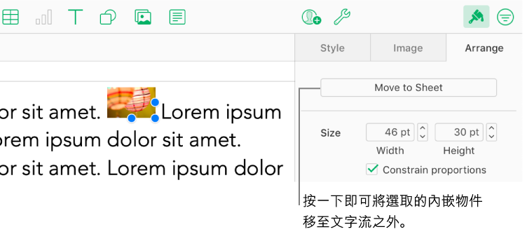 已選取文字框內的內嵌影像，且在側邊列中的「排列」標籤中可看到「移至工作表」按鈕。