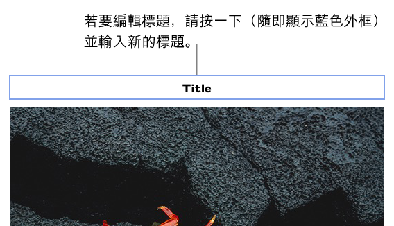 暫存區標題「標題」出現在照片上方；標題欄位周圍顯示藍色外框，代表已選取。