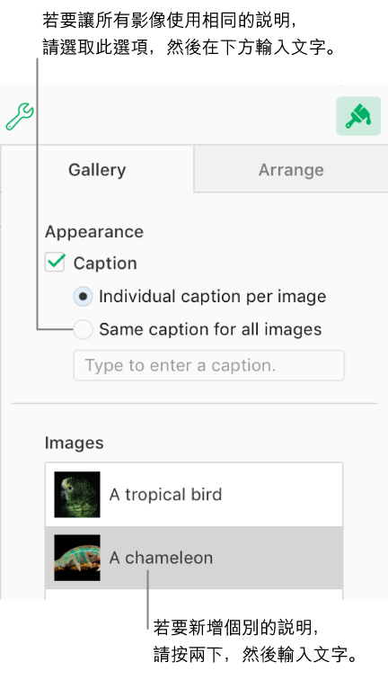 使用頂端附近的控制項目，您可以選擇讓每張影像有自己的說明，或讓所有影像使用相同說明。下方有每張影像的縮覽圖，縮覽圖右側顯示說明文字。