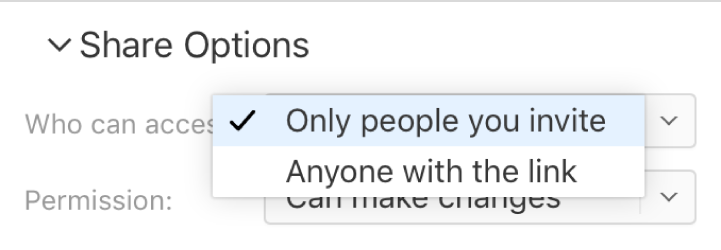 The “Who can access” pop-up menu set to “Only people you invite.”