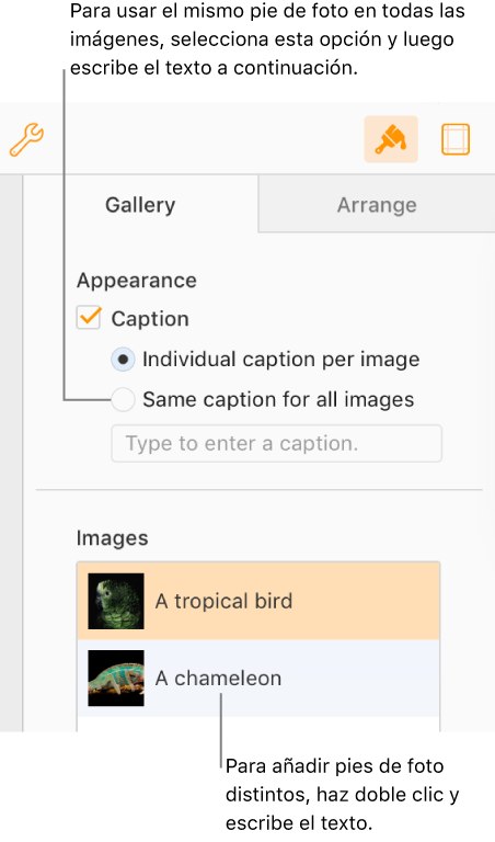 Con los controles cerca de la parte superior, puedes elegir tener pies de foto únicos para cada imagen o el mismo para todas las imágenes. Debajo, hay miniaturas de cada imagen, con texto de pie de foto a la derecha.