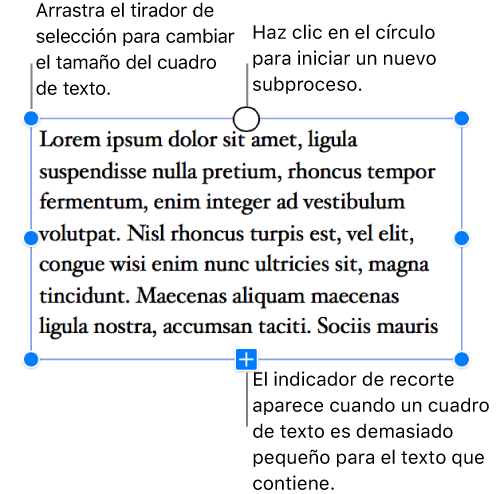 Un cuadro de texto con tiradores de selección azules a su alrededor para indicar que está seleccionado, un indicador de recorte en la parte inferior que indica que hay demasiado texto y un círculo en la parte superior sobre el que se puede hacer clic para iniciar un nuevo subproceso.