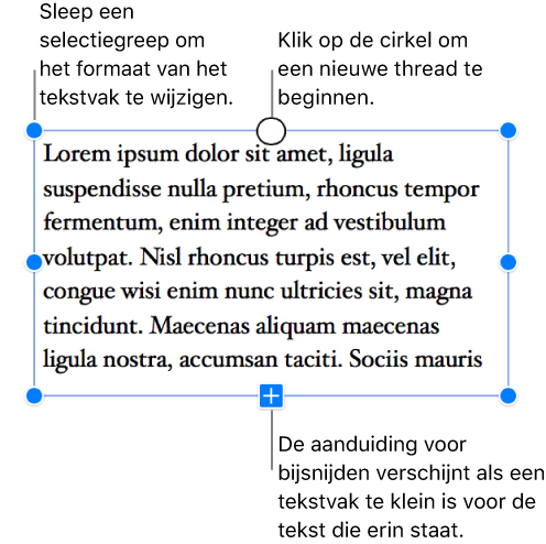 Een tekstvak met blauwe selectiegrepen, wat weergeeft dat het is geselecteerd, een aanduiding voor bijsnijden geeft aan dat er tekstoverloop is en een cirkel bovenaan waarop je kunt klikken om een nieuwe thread te beginnen.