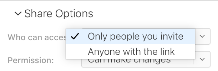 The “Who can access” pop-up menu set to “Only people you invite.”