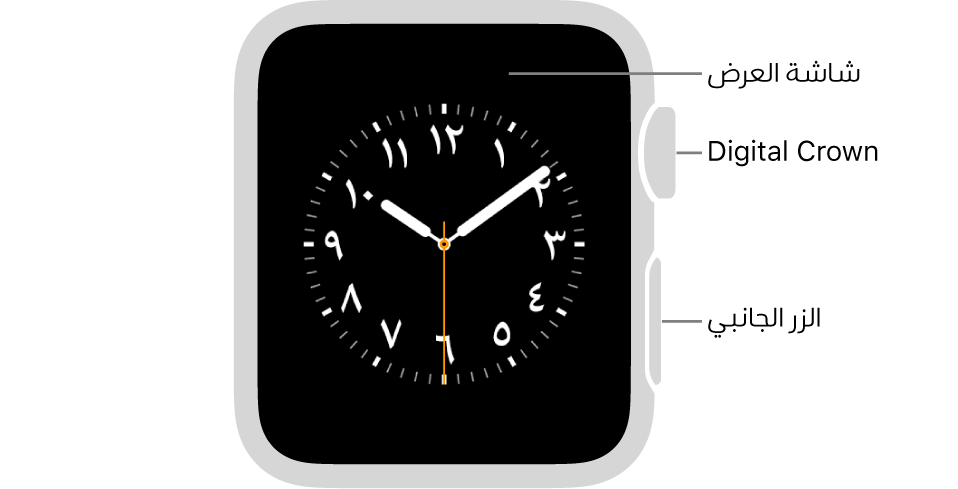 واجهة Apple Watch Series 3 وما أقدم مع وسائل شرح تشير إلى شاشة العرض و Digital Crown والزر الجانبي.