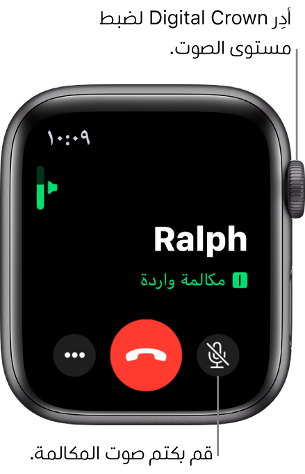 أثناء تلقي مكالمة هاتفية واردة، تعرض الشاشة مؤشر مستوى الصوت الأفقي في أعلى اليسار وزر كتم الصوت في أسفل اليمين والزر رفض باللون الأحمر وزر المزيد من الخيارات.