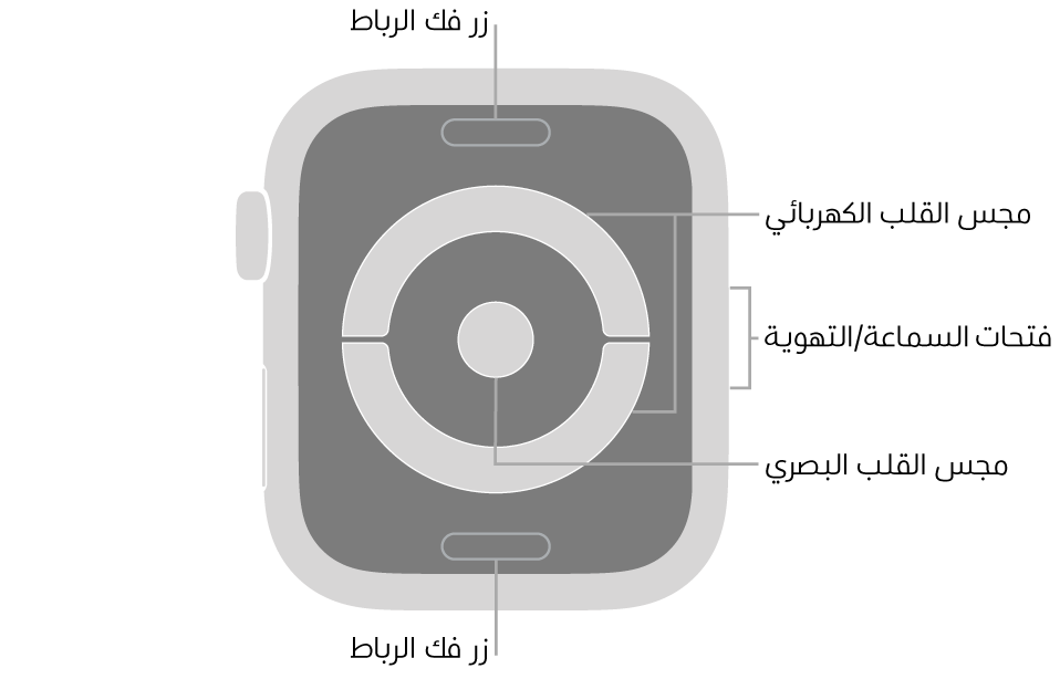 الجزء الخلفي من Apple Watch Series 4 مع وسائل شرح تشير إلى زر فك الرباط ومجس القلب الكهربائي وفتحات السماعة/التهوية ومجس القلب البصري.