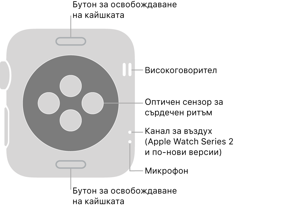 Задната част на Apple Watch Series 3 и по-ранни версии с надписи, сочещи към бутон за освобождаване на каишката, високоговорител, оптичен сърдечен сензор, вентилационен отвор и микрофон.