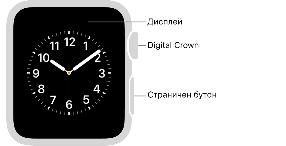 Предната част на Apple Watch Series 3 и по-ранни версии с надписи, сочещи към дисплей, коронка Digital Crown и страничен бутон.