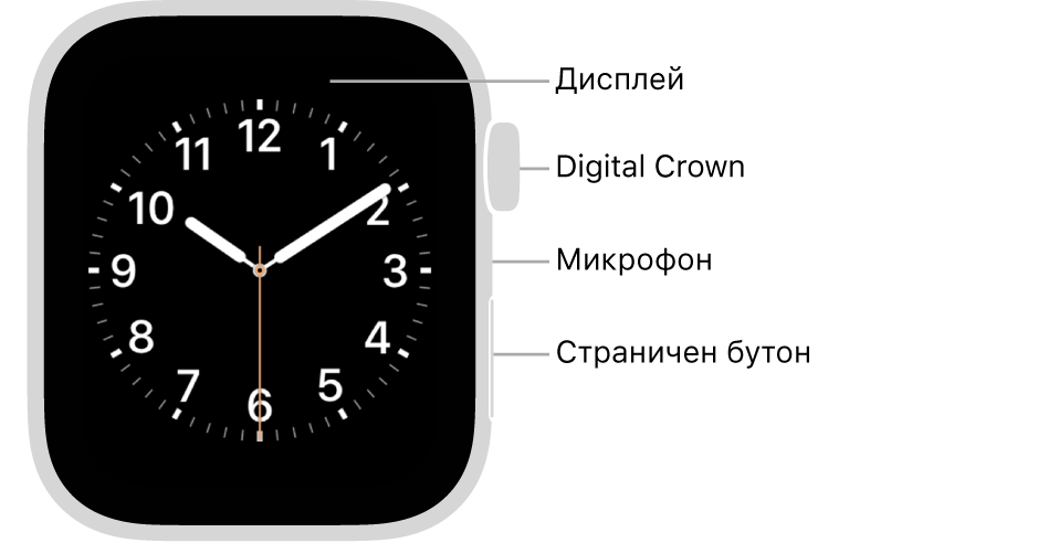 Предната част на Apple Watch Series 5 с надписи, сочещи към дисплей, коронка Digital Crown, микрофон и страничен бутон.