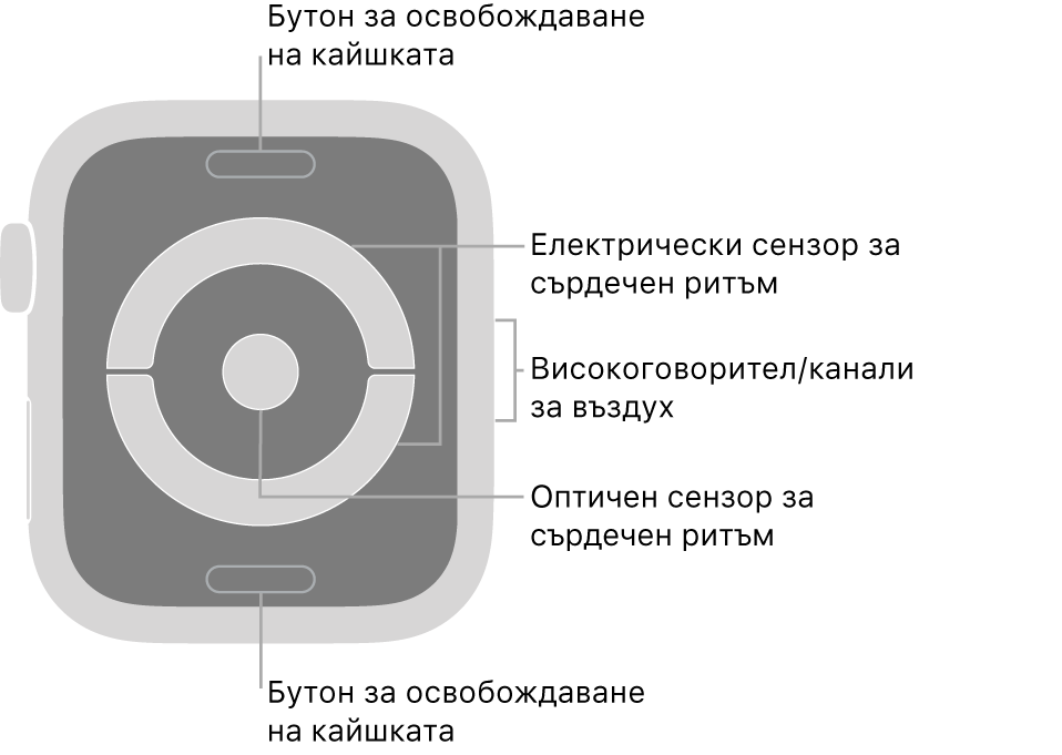 Задната част на Apple Watch Series 4 с надписи, сочещи към бутон за освобождаване на каишката, електрически сърдечен сензор, високоговорител/вентилационни отвори и оптичен сърдечен сензор.