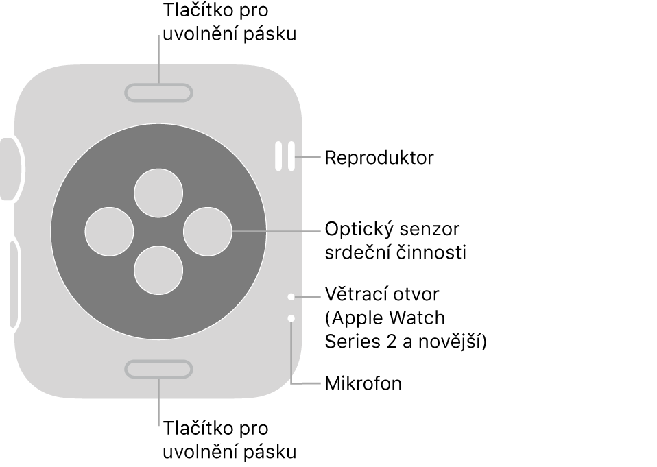 Zadní strana hodinek Apple Watch Series 3 a starších s popisky u tlačítka na uvolnění řemínku, reproduktoru, optického čidla srdečního tepu, větracího otvoru a mikrofonu