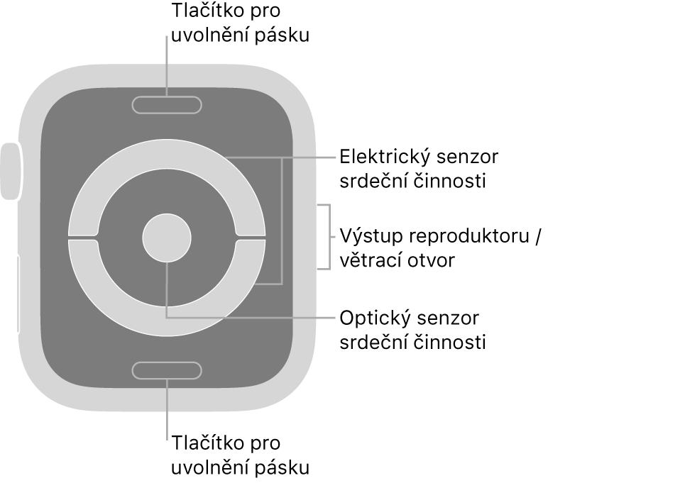Zadní strana hodinek Apple Watch Series 4 s popisky u displeje, tlačítka pro uvolnění řemínku, elektrického snímače srdečního tepu, reproduktoru/větracích otvorů a optického snímače srdečního tepu