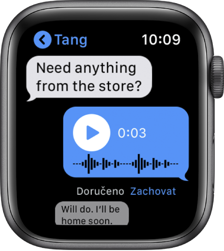 Obrazovka Zpráv s otevřenou konverzací. Prostřední odpověď má podobu zvukové zprávy s tlačítkem pro přehrání.