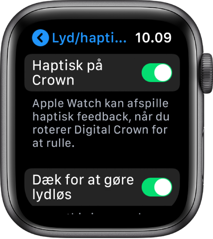 Skærmen Haptisk på Crown viser, at Haptisk på Crown er slået til.