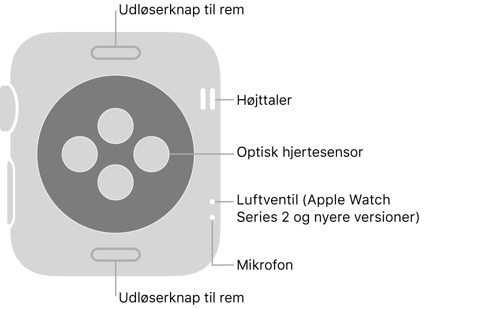 Bagsiden af Apple Watch Series 3 og tidligere modeller med billedtekster, der peger på udløserknappen, højttaleren, den optiske pulsmåler, luftventilen og mikrofonen.