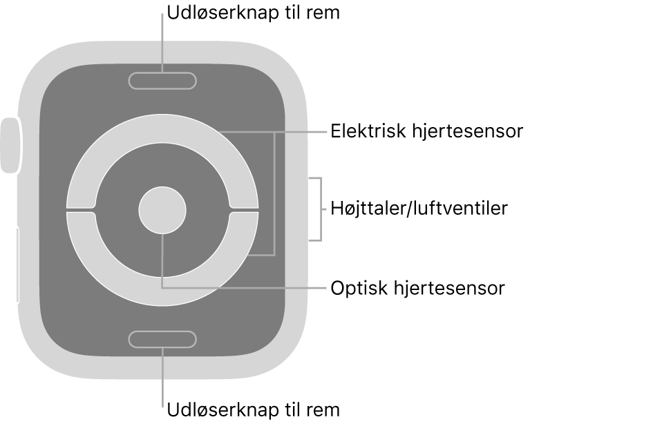 Bagsiden af Apple Watch Series 4 med billedtekster, der peger på udløserknappen, den elektriske pulsmåler, højttaleren/luftventilerne og den optiske pulsmåler.