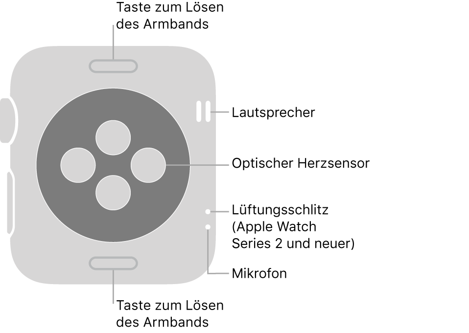 Die Rückseite der Apple Watch Series 3 (und neuer) mit Beschriftungen für Entriegelungstaste, Lautsprecher, optischem Herzsensor, Luftöffnung und Mikrofon.