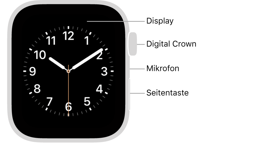 Die Vorderseite der Apple Watch Series 5 mit Beschriftungen für Display, Digital Crown, Mikrofon und Seitentaste.
