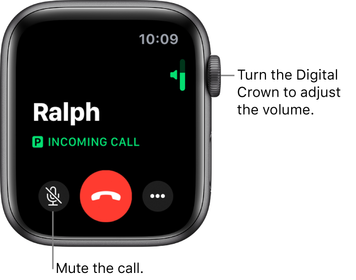 During an incoming phone call, the screen shows the horizontal volume indicator at the top right, the Mute button at the bottom left, the red Decline button, and the More Options button.