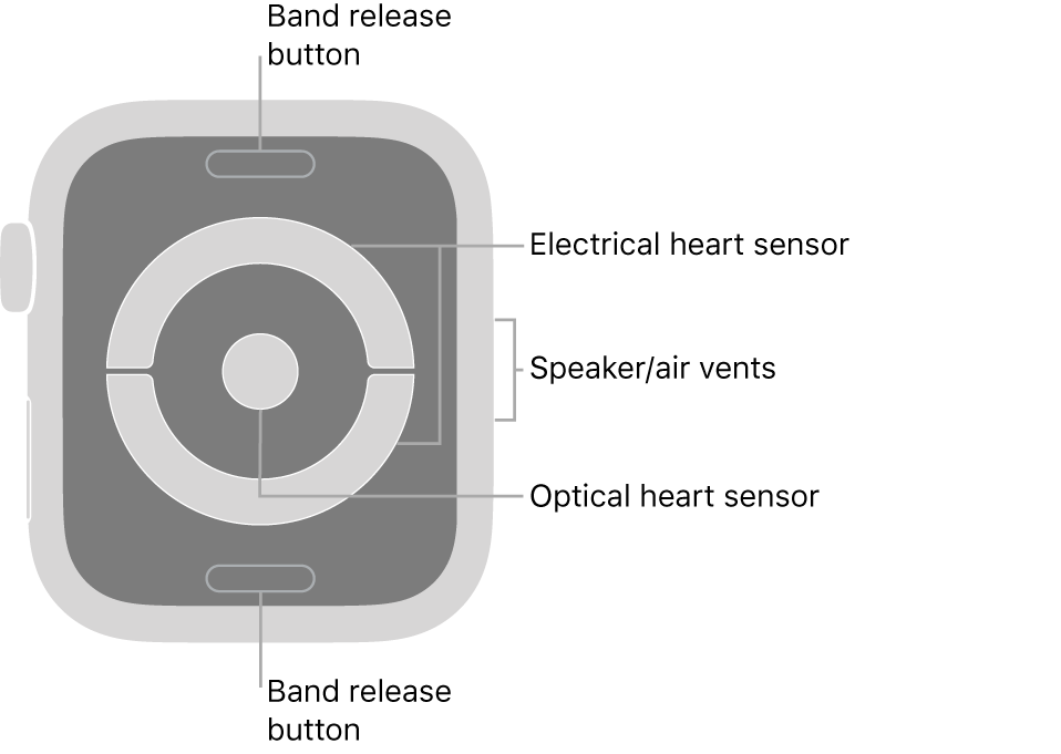 The back of Apple Watch Series 4 with callouts pointing to band release button, electrical heart sensor, speaker/air vents, and optical heart sensor.