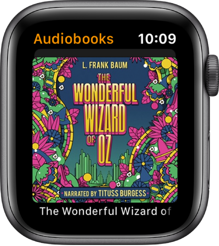 The Audiobooks screen showing a book’s cover art.