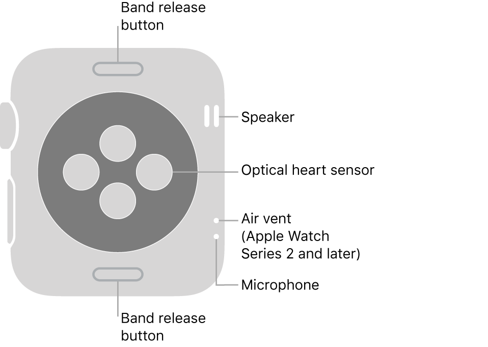 The back of Apple Watch Series 3 and earlier with callouts pointing to band release button, speaker, optical heart sensor, air vent, and microphone.