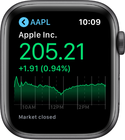 Information about a stock in the Stocks app.