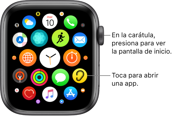 Pantalla de inicio con la visualización como cuadrícula en el Apple Watch, con apps en un grupo. Toca una app para abrirla. Arrastra para ver más apps.