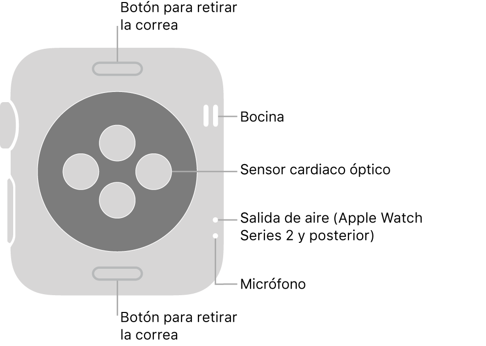 La parte posterior del Apple Watch Series 3 y anterior con textos señalando el botón para retirar la correa, la bocina, el sensor cardiaco óptico, la salida de aire y el micrófono.