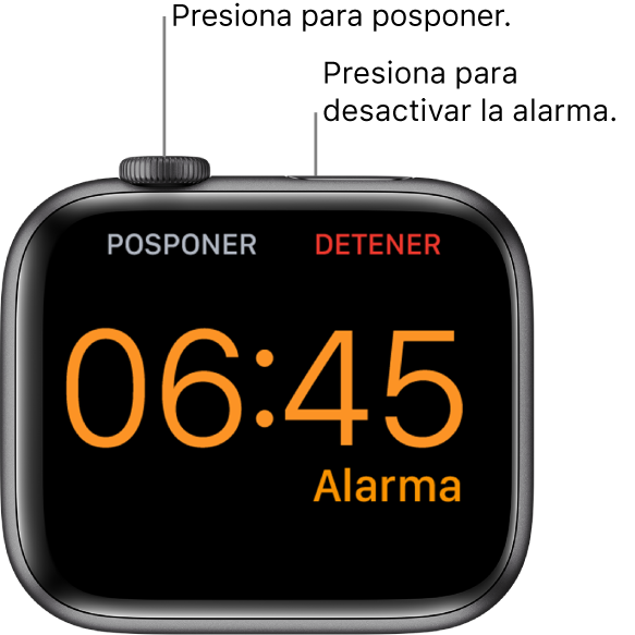 Un Apple Watch colocado de lado, la pantalla muestra una alarma activa. Debajo de la Digital Crown está la opción Posponer. La palabra "Detener" está debajo del botón lateral.