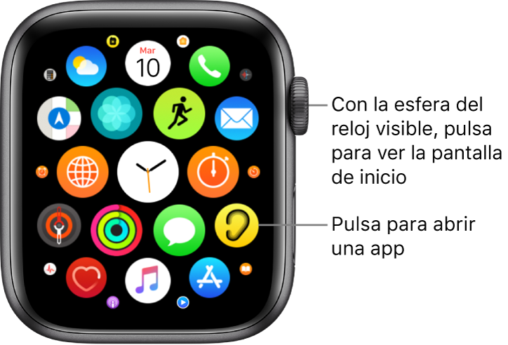 Pantalla de inicio en visualización de mosaico en el Apple Watch, con una agrupación de apps. Pulsa una app para abrirla. Arrastra para ver más apps.