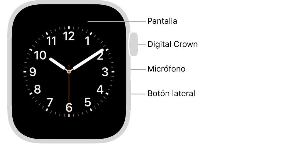Parte frontal del Apple Watch Series 5, con textos que indican la pantalla, la corona Digital Crown, el micrófono y el botón lateral.