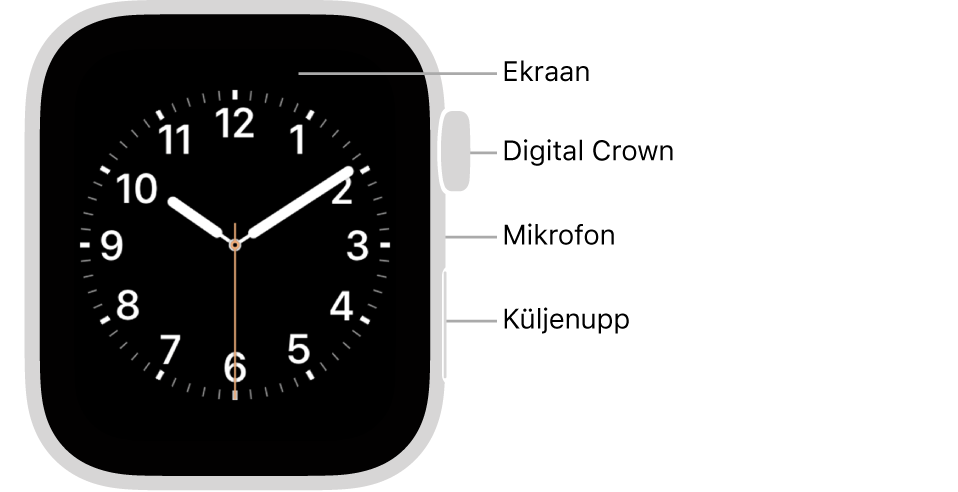 Mudeli Apple Watch Series 5 esikülg koos väljaviikudega ekraanile, Digital Crownile, mikrofonile ja küljenupule.