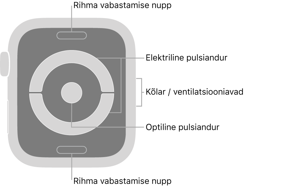 Mudeli Apple Watch Series 4 tagakülg koos väljaviikudega rihma vabastamise nupule, elektrilisele pulsiandurile, kõlarile/ventilatsiooniavale ning optilisele pulsiandurile.