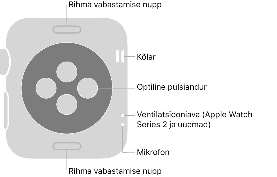 Mudeli Apple Watch Series 3 ja varasemate tagakülg koos väljaviikudega rihma vabastamise nupule, kõlarile, optilisele pulsiandurile, ventilatsiooniavale ja mikrofonile.