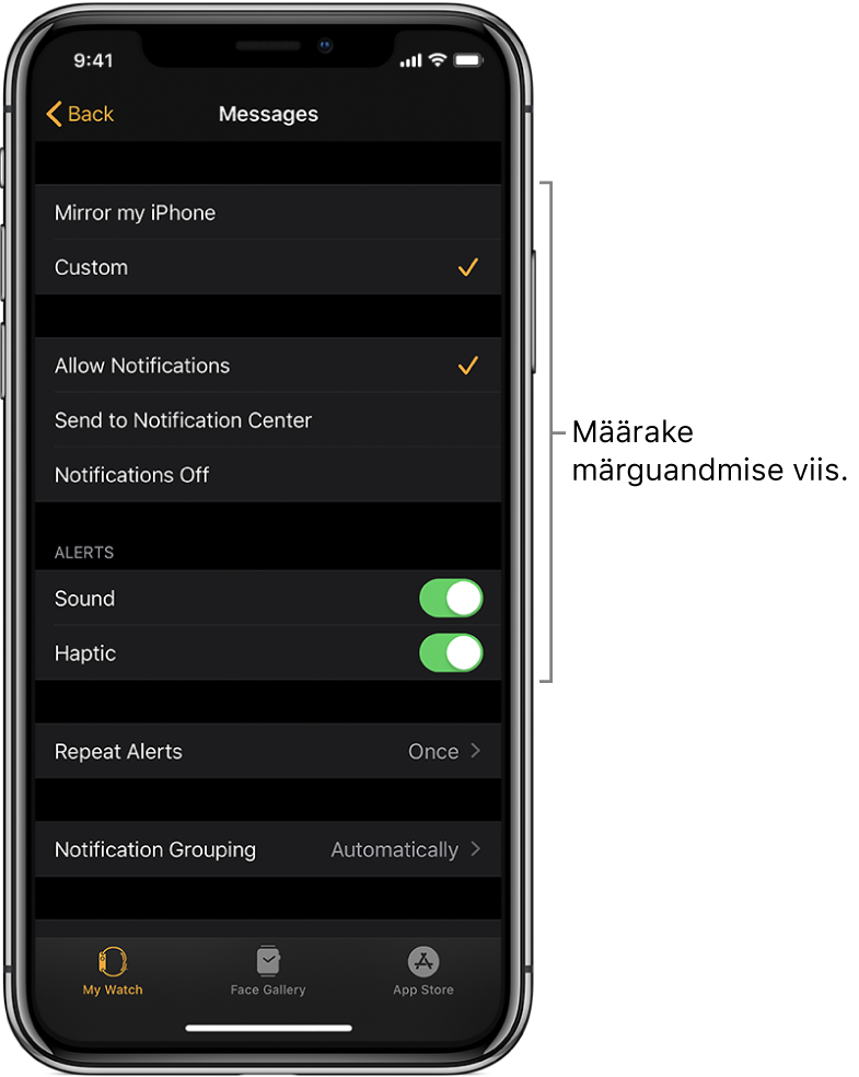 Rakenduse Messages seaded iPhone'i rakenduses Apple Watch. Saate valida, kas kuvada märguandeid, lülitada heli sisse, lülitada värintagasiside sisse ning kas kasutada korduvaid märguandeid.