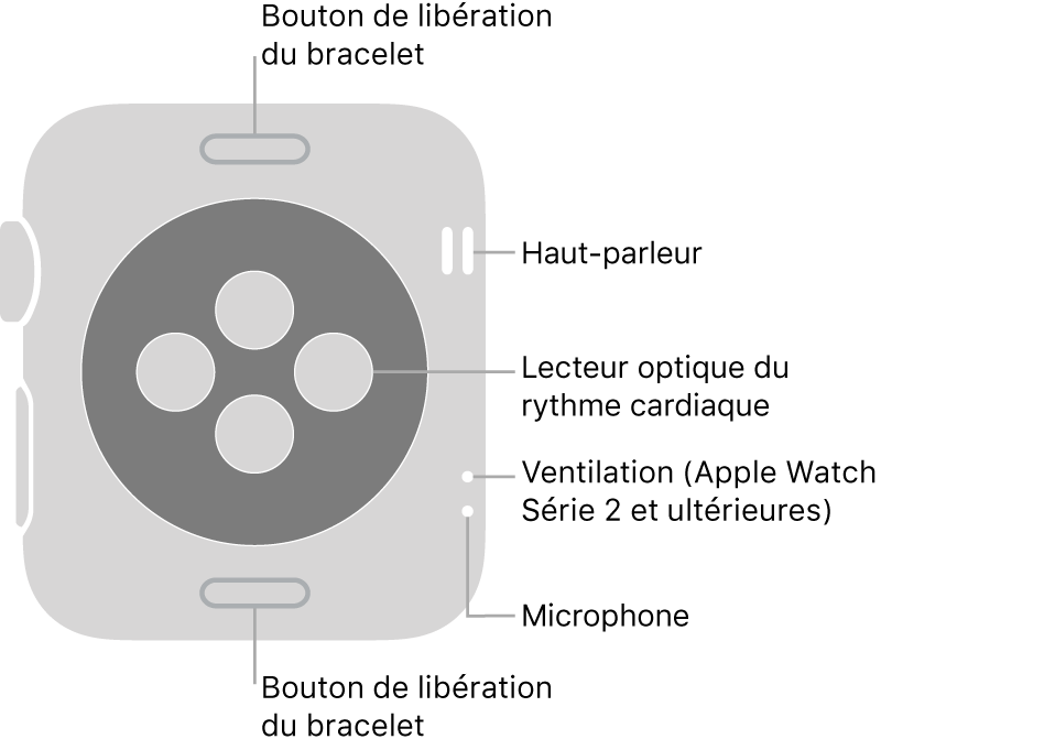 Le dos de l’Apple Watch Series 3 ou antérieure avec des indications qui pointent vers le bouton pour défaire le bracelet, le haut-parleur, le capteur cardiaque optique, l’évent et le micro.