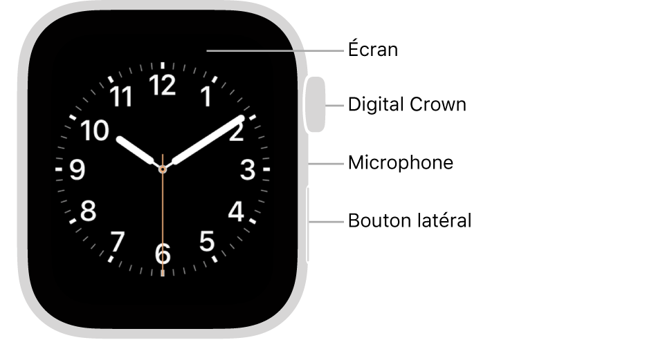 Le devant de l’Apple Watch Series 5 avec des indications qui pointent vers l’écran, la couronne Digital Crown, le micro et le bouton latéral.