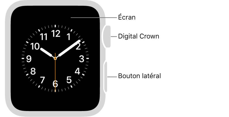 Le devant de l’Apple Watch Series 3 ou antérieure avec des indications qui pointent vers l’écran, la couronne Digital Crown et le bouton latéral.