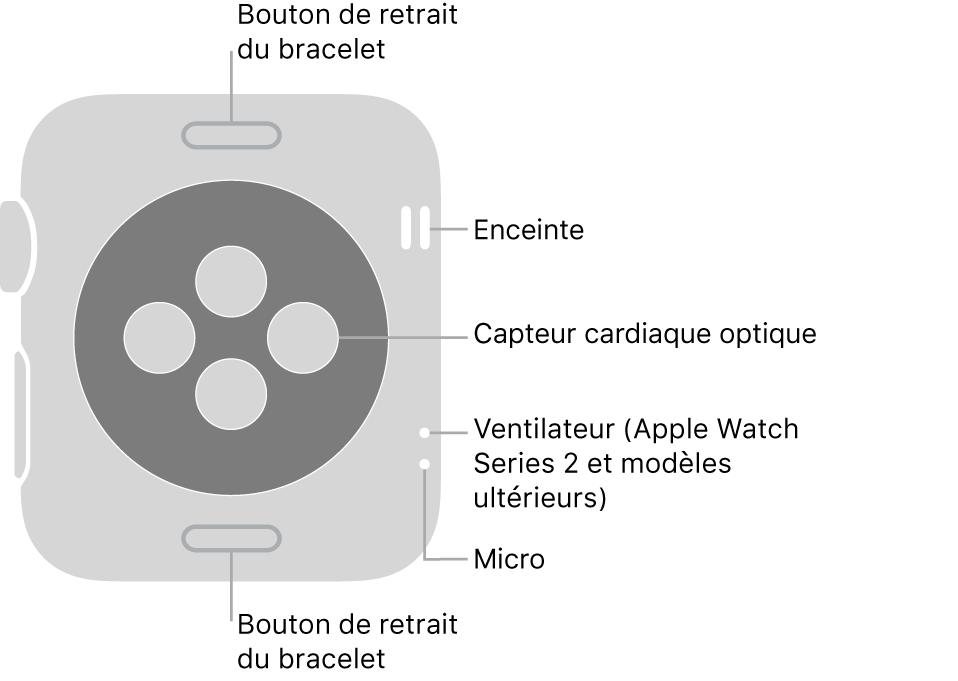 La face arrière de l’Apple Watch Series 3 et modèles antérieurs avec des légendes pointant vers le bouton pour défaire le bracelet, le haut-parleur, le capteur cardiaque optique, l’aération et le micro.