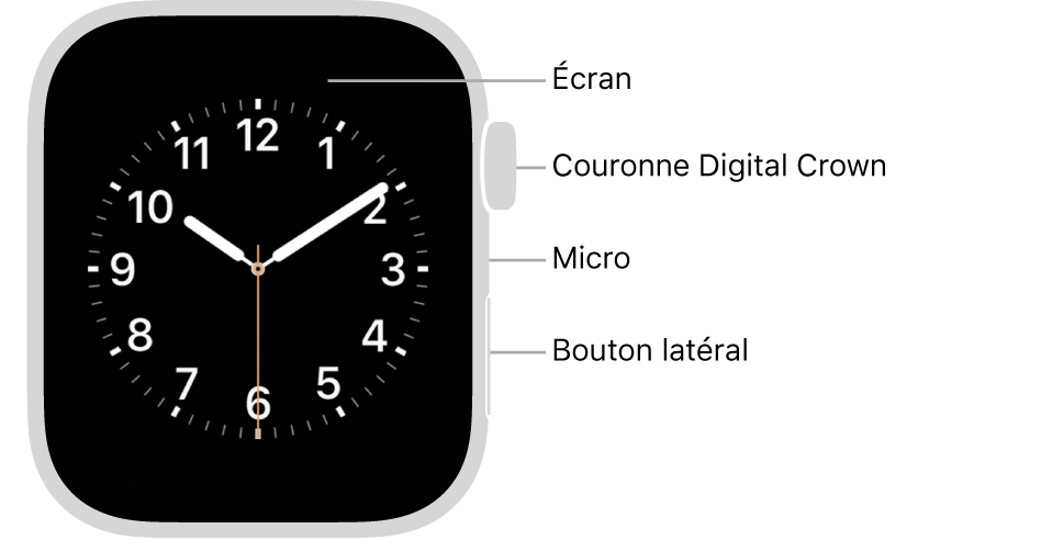 La face avant de l’Apple Watch Series 5 avec des légendes pointant vers l’écran, la Digital Crown, le micro et le bouton latéral.